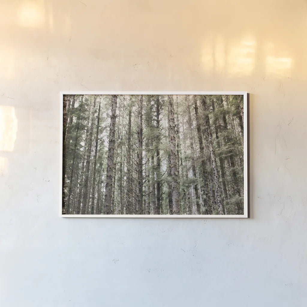 Mossy Pines by Laura Marshall. shown as a paper print in a white frame. Available as a archival giclee rolled canvas, fine art paper, or poster print. SKU 53676i.