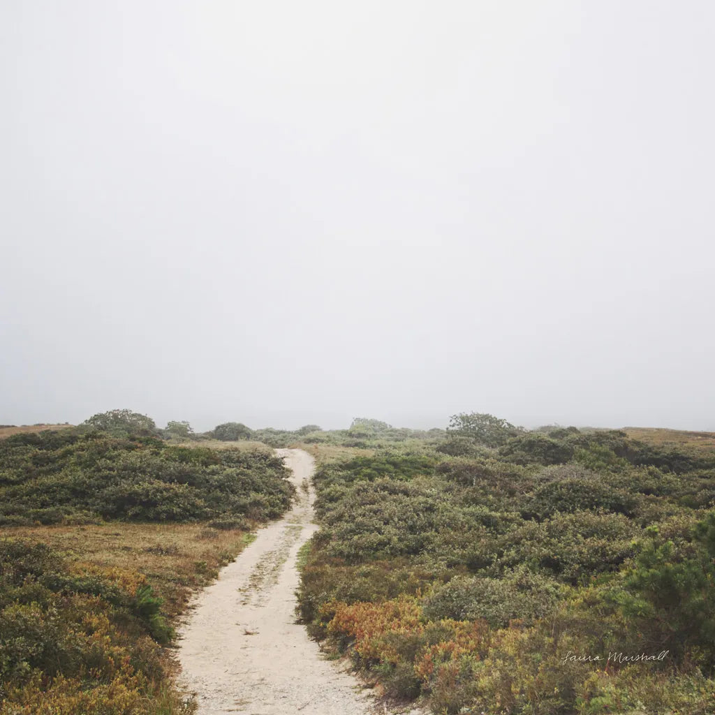 Off the Beaten Path by Laura Marshall. SKU 38774a. Archival Giclee Fine art print for wall decor.