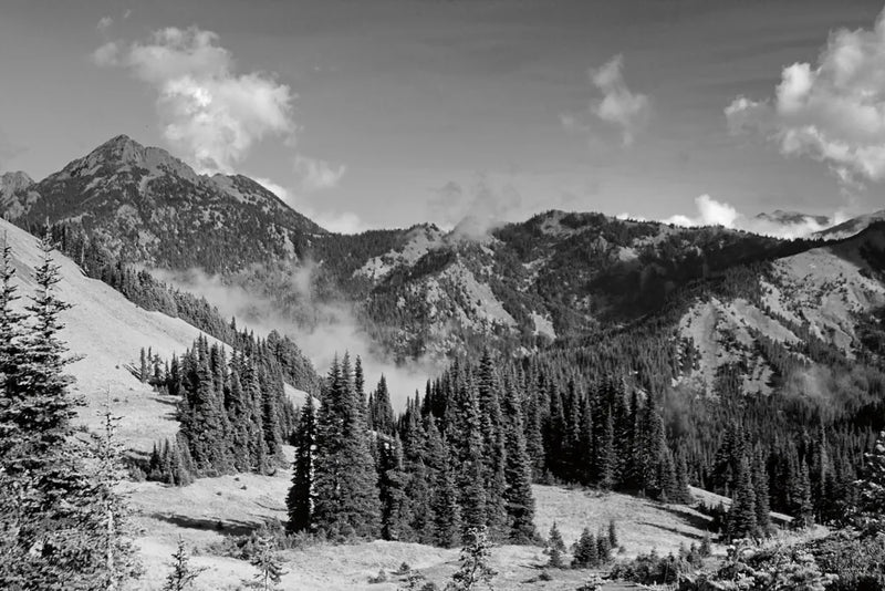 Olympic Mountains I by Laura Marshall. SKU 64412i. Archival Giclee Fine art print for wall decor.