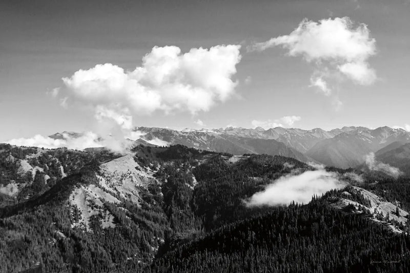 Olympic Mountains II by Laura Marshall. SKU 64413i. Archival Giclee Fine art print for wall decor.