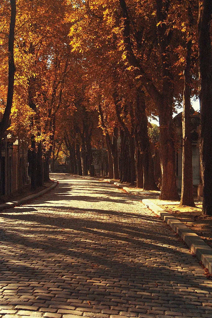 Pere La Chaise by Laura Marshall. SKU 20700h. Archival Giclee Fine art print for wall decor.
