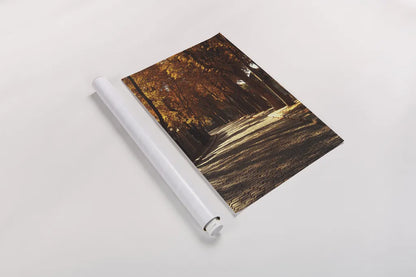 Pere La Chaise by Laura Marshall. shown as a rolled paper print. Available as archival giclee rolled canvas, fine art paper, or poster print. SKU 20700h.