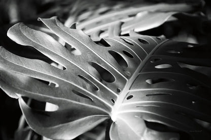 Philodendron by Laura Marshall. SKU 48182i. Archival Giclee Fine art print for wall decor.