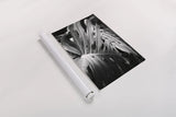 Philodendron by Laura Marshall. shown as a rolled paper print. Available as archival giclee rolled canvas, fine art paper, or poster print. SKU 48182i.