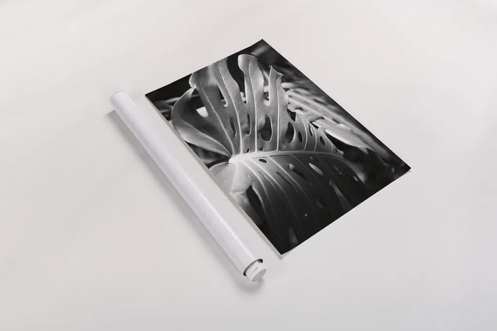 Philodendron by Laura Marshall. shown as a rolled paper print. Available as archival giclee rolled canvas, fine art paper, or poster print. SKU 48182i.