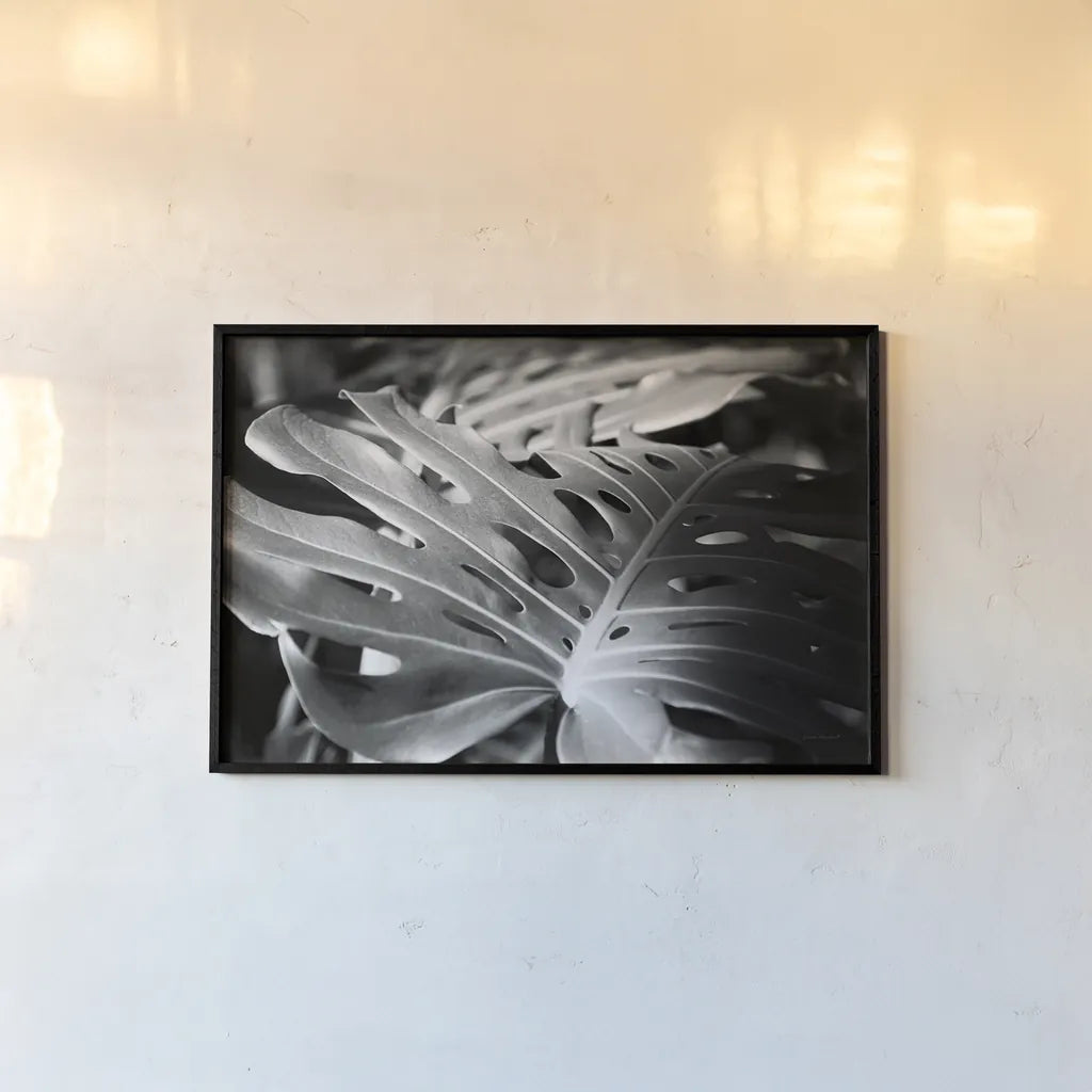 Philodendron by Laura Marshall. shown as a paper print in a black flame. Available as a archival giclee rolled canvas, fine art paper, or poster print. SKU 48182i.