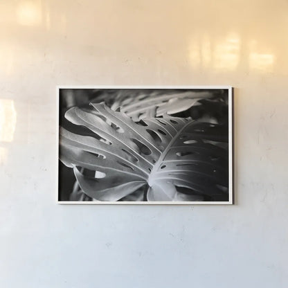 Philodendron by Laura Marshall. shown as a paper print in a white frame. Available as a archival giclee rolled canvas, fine art paper, or poster print. SKU 48182i.