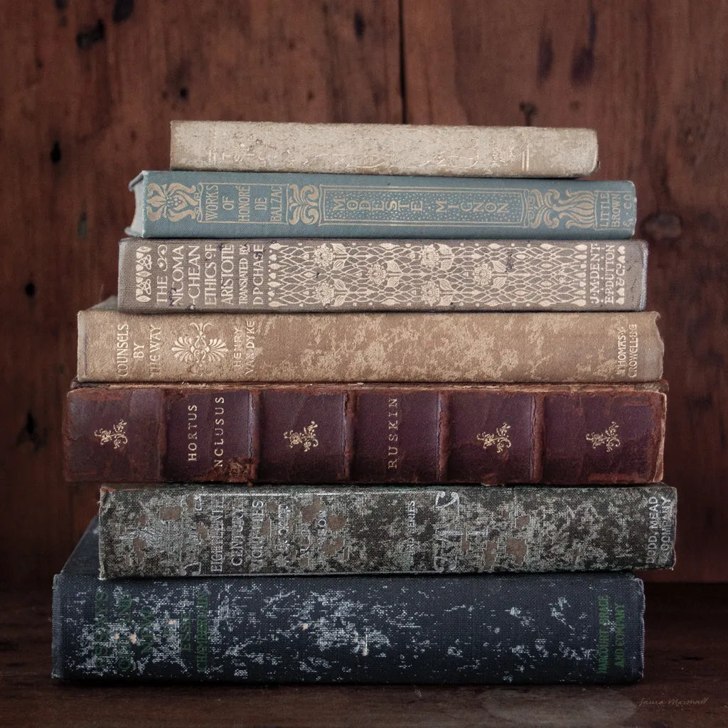 Quiet Study IV by Laura Marshall. SKU 99041a. Archival Giclee Fine art print for wall decor.