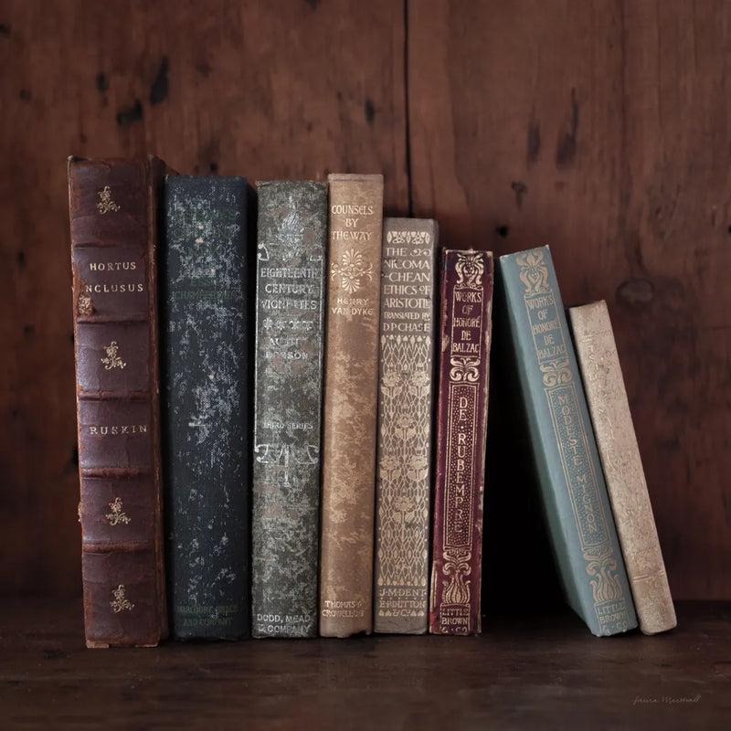 Quiet Study V by Laura Marshall. SKU 99042a. Archival Giclee Fine art print for wall decor.