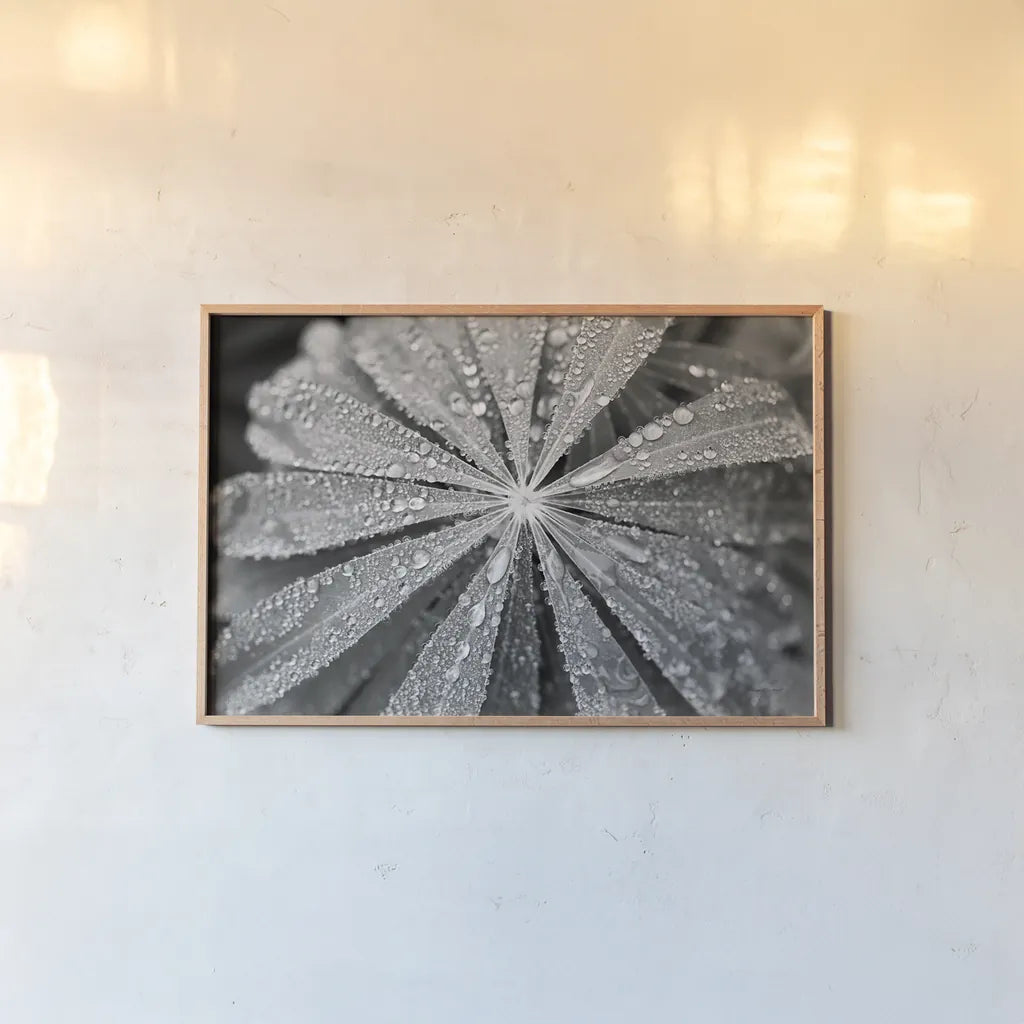 Raindrops on Lupine by Laura Marshall. shown as a paper print in a natural frame. Available as a archival giclee rolled canvas, fine art paper, or poster print. SKU 48181i.