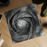 Ranunculus Abstract I BW by Laura Marshall. Shown as a detailed flat fine art print, highlighting archival giclee quality. Available as an archival giclee rolled canvas, fine art paper, or poster print. SKU 25284a.