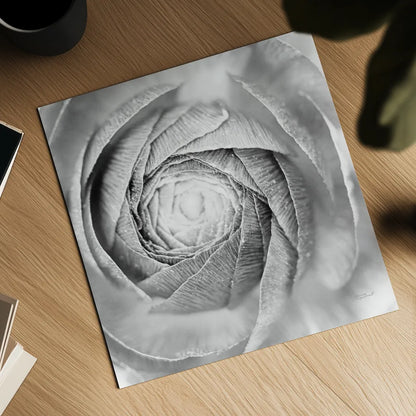 Ranunculus Abstract I BW Light by Laura Marshall. Shown as a detailed flat fine art print, highlighting archival giclee quality. Available as an archival giclee rolled canvas, fine art paper, or poster print. SKU 43246a.