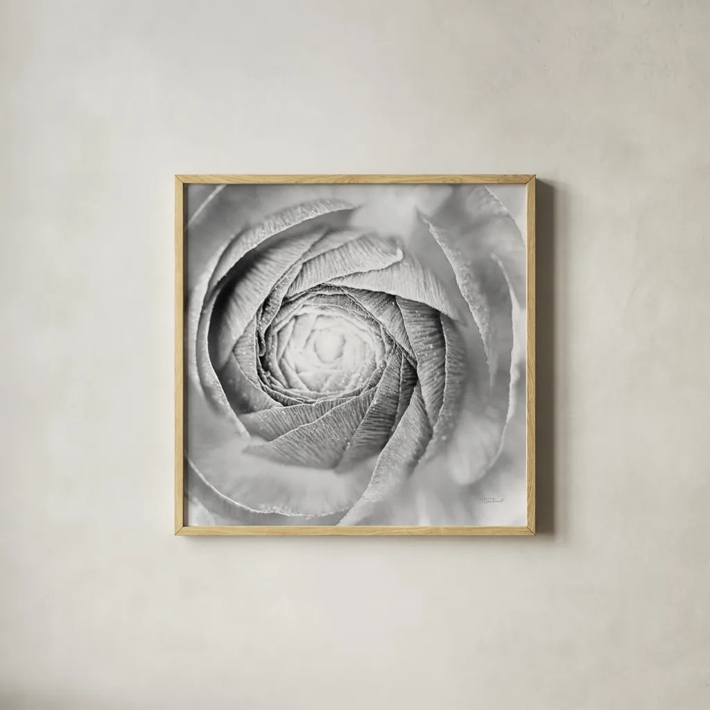 Ranunculus Abstract I BW Light by Laura Marshall. Shown in a natural wood glass frame for a timeless modern aesthetic. Available as an archival giclee rolled canvas, fine art paper, or poster print. SKU 43246a.