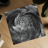 Ranunculus Abstract II BW by Laura Marshall. Shown as a detailed flat fine art print, highlighting archival giclee quality. Available as an archival giclee rolled canvas, fine art paper, or poster print. SKU 25285a.