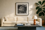 Ranunculus Abstract II BW by Laura Marshall. Displayed in a glass frame with matte in a clean modern living room. Available as an archival giclee rolled canvas, fine art paper, or poster print. SKU 25285a.