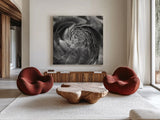Ranunculus Abstract II BW by Laura Marshall. Shown as extra-large giant wall art in a modern living room. Available as an archival giclee rolled canvas, fine art paper, or poster print. SKU 25285a.