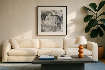 Ranunculus Abstract II BW Light by Laura Marshall. Displayed in a glass frame with matte in a clean modern living room. Available as an archival giclee rolled canvas, fine art paper, or poster print. SKU 43247a.