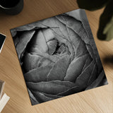 Ranunculus Abstract III BW by Laura Marshall. Shown as a detailed flat fine art print, highlighting archival giclee quality. Available as an archival giclee rolled canvas, fine art paper, or poster print. SKU 25286a.