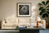 Ranunculus Abstract III BW by Laura Marshall. Displayed in a glass frame with matte in a clean modern living room. Available as an archival giclee rolled canvas, fine art paper, or poster print. SKU 25286a.