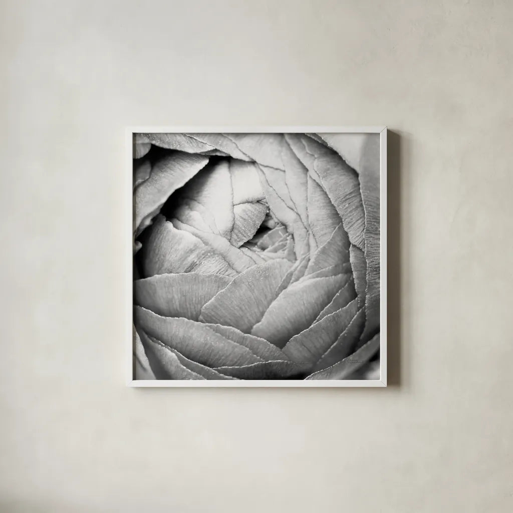 Ranunculus Abstract III BW Light by Laura Marshall. Shown in a crisp white glass frame for a clean and minimalist style. Available as an archival giclee rolled canvas, fine art paper, or poster print. SKU 43248a.