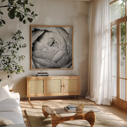 Ranunculus Abstract III BW Light by Laura Marshall. Shown in a natural wood frame in a cozy modern living room. Available as an archival giclee rolled canvas, fine art paper, or poster print. SKU 43248a.