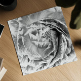 Ranunculus Abstract IV BW Light by Laura Marshall. Shown as a detailed flat fine art print, highlighting archival giclee quality. Available as an archival giclee rolled canvas, fine art paper, or poster print. SKU 43249a.