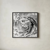 Ranunculus Abstract IV BW Light by Laura Marshall. Shown in a sleek black glass frame for a contemporary gallery look. Available as an archival giclee rolled canvas, fine art paper, or poster print. SKU 43249a.