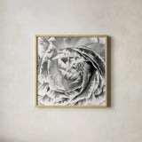 Ranunculus Abstract IV BW Light by Laura Marshall. Shown in a natural wood glass frame for a timeless modern aesthetic. Available as an archival giclee rolled canvas, fine art paper, or poster print. SKU 43249a.