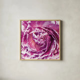 Ranunculus Abstract IV Color by Laura Marshall. Shown in a natural wood glass frame for a timeless modern aesthetic. Available as an archival giclee rolled canvas, fine art paper, or poster print. SKU 25281a.