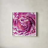 Ranunculus Abstract IV Color by Laura Marshall. Shown in a crisp white glass frame for a clean and minimalist style. Available as an archival giclee rolled canvas, fine art paper, or poster print. SKU 25281a.