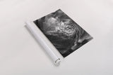 Ranunculus Abstract V BW by Laura Marshall. shown as a rolled paper print. Available as archival giclee rolled canvas, fine art paper, or poster print. SKU 25288i.