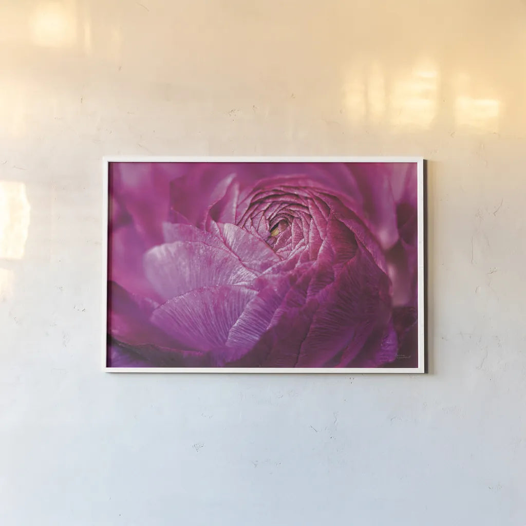 Ranunculus Abstract V Color by Laura Marshall. shown as a paper print in a white frame. Available as a archival giclee rolled canvas, fine art paper, or poster print. SKU 25282i.