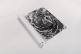 Ranunculus Abstract VI BW by Laura Marshall. shown as a rolled paper print. Available as archival giclee rolled canvas, fine art paper, or poster print. SKU 25289i.