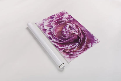 Ranunculus Abstract VI Color by Laura Marshall. shown as a rolled paper print. Available as archival giclee rolled canvas, fine art paper, or poster print. SKU 25283i.