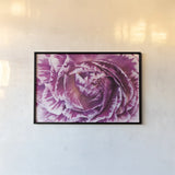 Ranunculus Abstract VI Color by Laura Marshall. shown as a paper print in a black flame. Available as a archival giclee rolled canvas, fine art paper, or poster print. SKU 25283i.