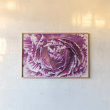 Ranunculus Abstract VI Color by Laura Marshall. shown as a paper print in a natural frame. Available as a archival giclee rolled canvas, fine art paper, or poster print. SKU 25283i.
