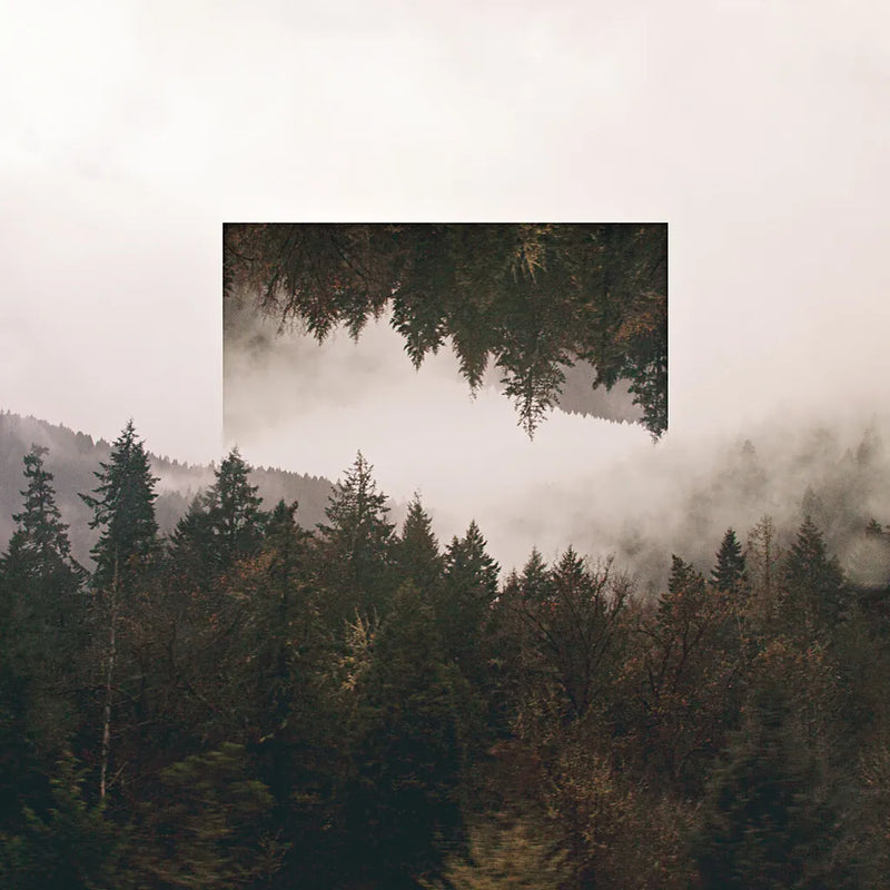 Reflected Landscape I by Laura Marshall. SKU 25130a. Archival Giclee Fine art print for wall decor.