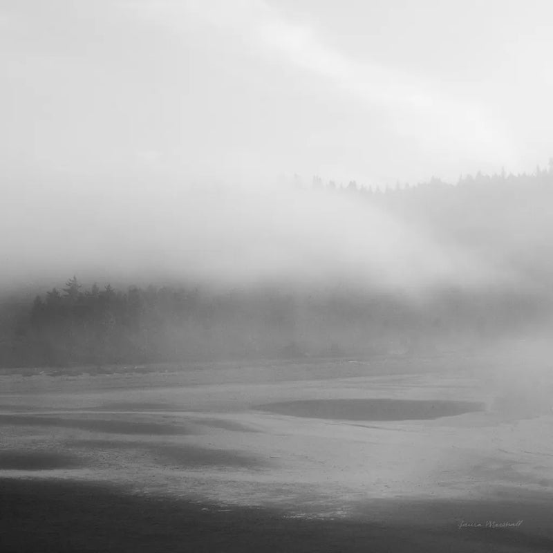 Salt Creek I by Laura Marshall. SKU 64402a. Archival Giclee Fine art print for wall decor.