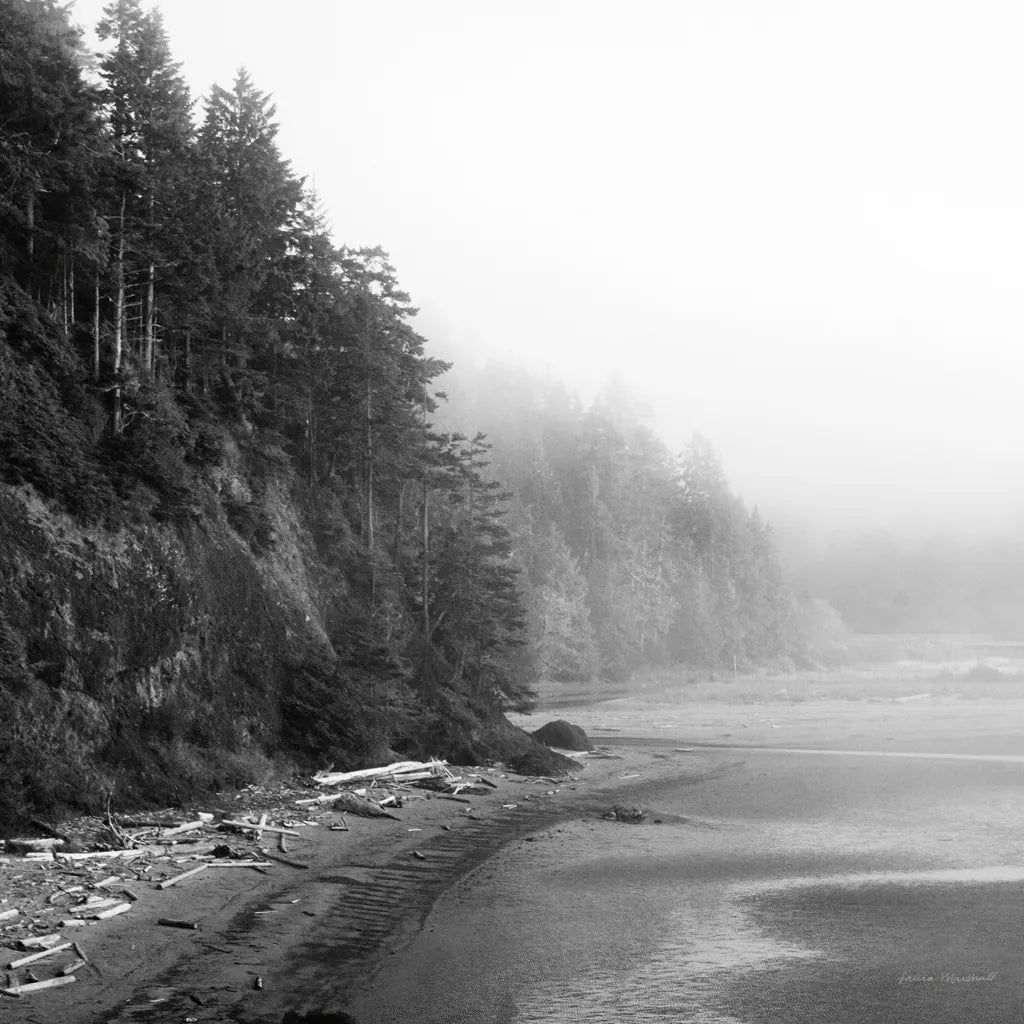 Salt Creek III by Laura Marshall. SKU 64404a. Archival Giclee Fine art print for wall decor.