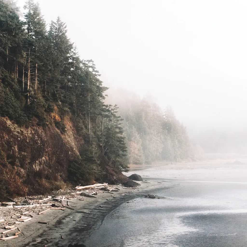 Salt Creek III Color by Laura Marshall. SKU 78127a. Archival Giclee Fine art print for wall decor.