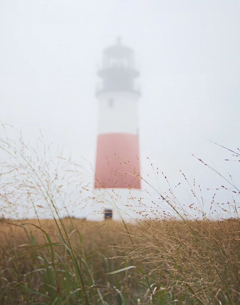 Sankaty Head in the Fog Crop by Laura Marshall