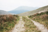 Scottish Highlands I by Laura Marshall. SKU 63275i. Archival Giclee Fine art print for wall decor.
