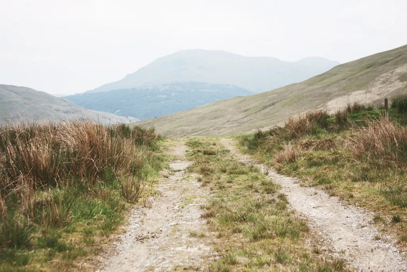 Scottish Highlands I by Laura Marshall. SKU 63275i. Archival Giclee Fine art print for wall decor.