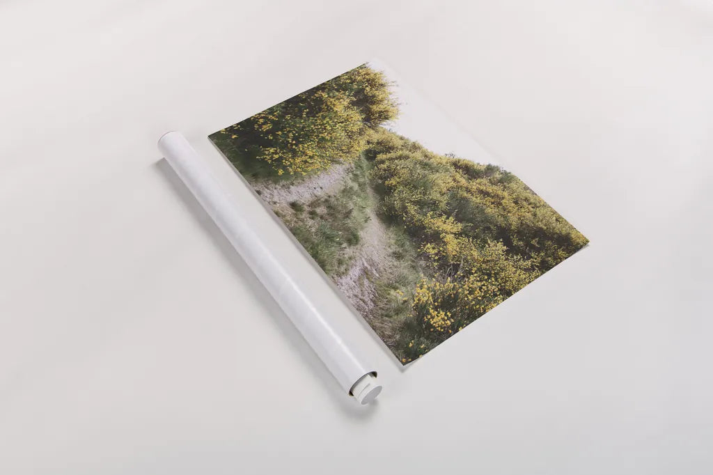 Scottish Highlands II by Laura Marshall. shown as a rolled paper print. Available as archival giclee rolled canvas, fine art paper, or poster print. SKU 63276i.