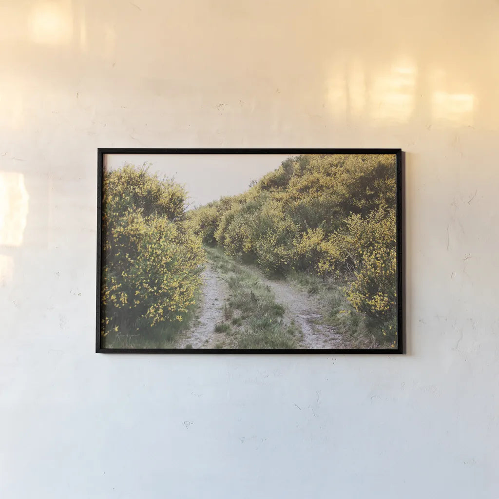 Scottish Highlands II by Laura Marshall. shown as a paper print in a black flame. Available as a archival giclee rolled canvas, fine art paper, or poster print. SKU 63276i.