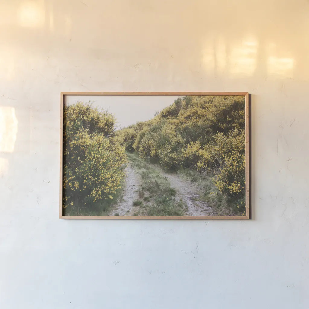 Scottish Highlands II by Laura Marshall. shown as a paper print in a natural frame. Available as a archival giclee rolled canvas, fine art paper, or poster print. SKU 63276i.