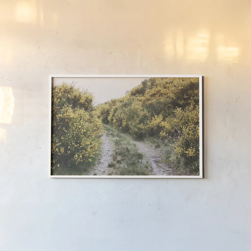 Scottish Highlands II by Laura Marshall. shown as a paper print in a white frame. Available as a archival giclee rolled canvas, fine art paper, or poster print. SKU 63276i.