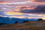 September Skies I by Laura Marshall. SKU 42979i. Archival Giclee Fine art print for wall decor.