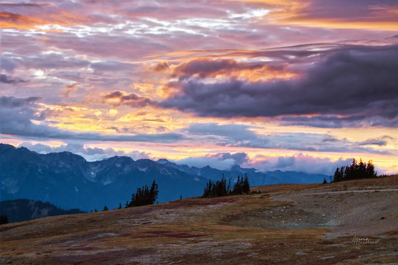 September Skies I by Laura Marshall. SKU 42979i. Archival Giclee Fine art print for wall decor.