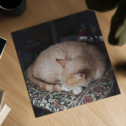 Sleepy Afternoon by Laura Marshall. Shown as a detailed flat fine art print, highlighting archival giclee quality. Available as an archival giclee rolled canvas, fine art paper, or poster print. SKU 38779a.